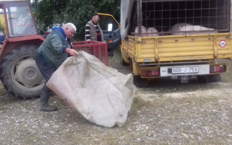 “NJIMA SKUPO, NAMA PREJEFTINO” Loša godina za semberske stočare