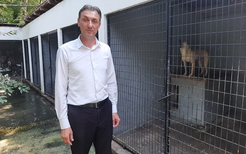BRIGA O ŽIVOTINJAMA I DALJE UPITNA Nesavjesni vlasnici ostavljaju pse da lutaju ulicama Bijeljine