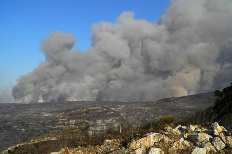 Više od 50 požara u Grčkoj za posljednja 24 sata