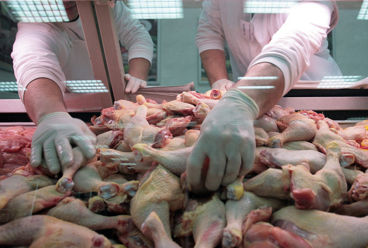 Tržište zatrpano piletinom iz uvoza