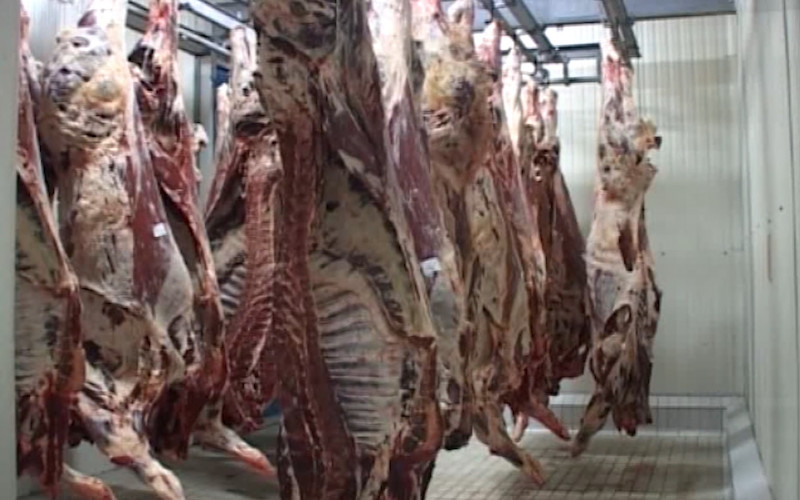 Počinje izvoz mesa iz BiH u Tursku
