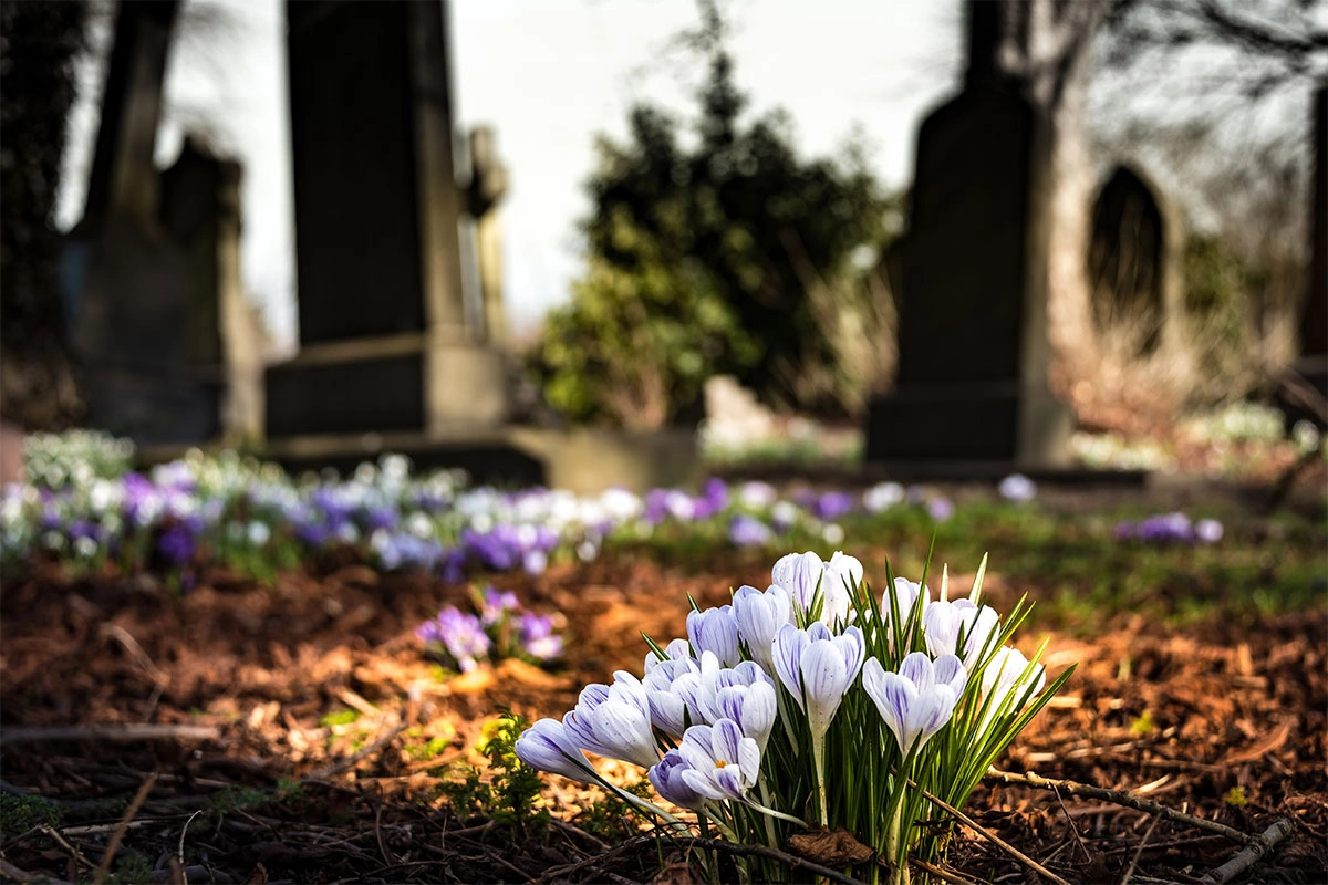 Klasična groblja odlaze u istoriju: Novi trend polako osvaja svijet