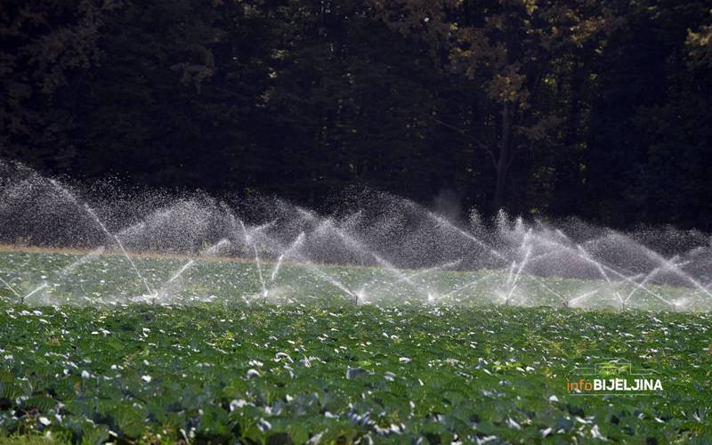 Batković uskoro dobija sistem za navodnjavanje