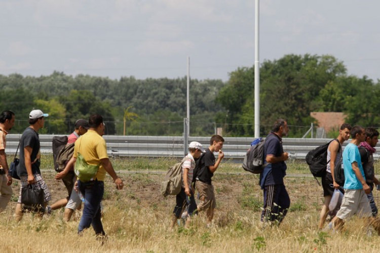 Migranti i po 20 puta dnevno pokušavaju da uđu u BiH