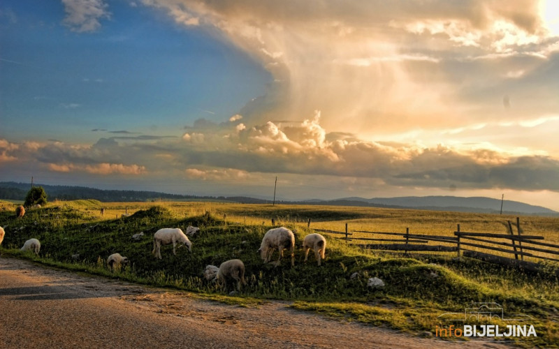 Stočari u Srpskoj tvrde da su izigrani, farme i dalje pune