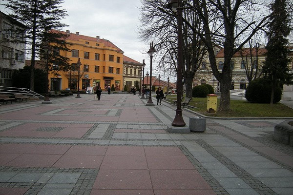 BRČKO REKORDER Ovo su lokalne zajednice u BiH u kojima je NAJVIŠE GLASAČA iz inostranstva