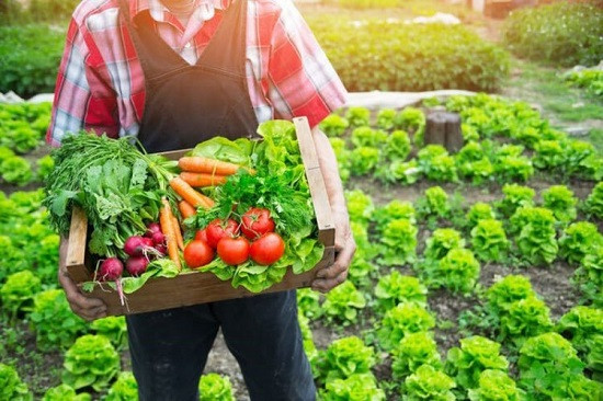 Srpska dobila znak za organske proizvode