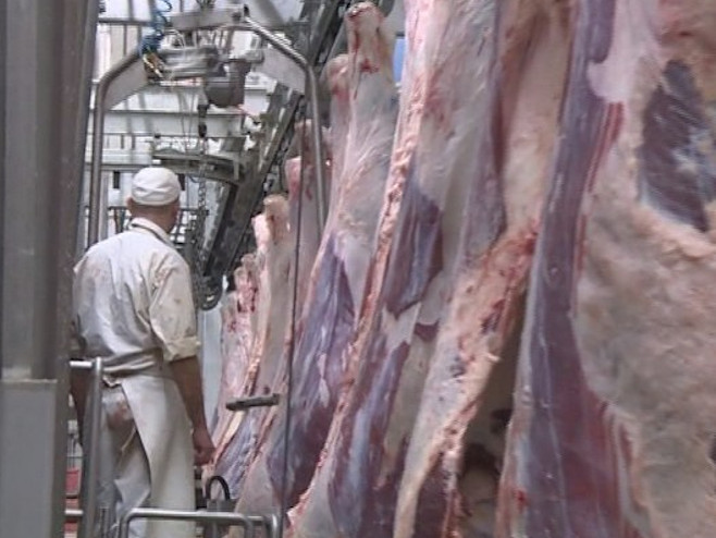 Završen interventni otkup tržišnih viškova tovnih bikova i svinja