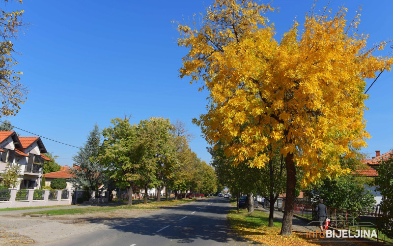 Danas razvedravanje, do 17 stepeni