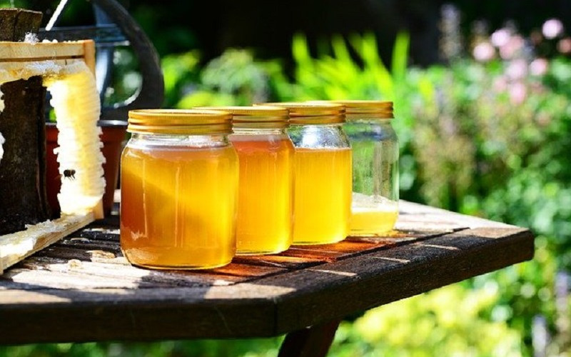 Cijena kilograma meda biće viša od 20 KM zbog slabih prinosa