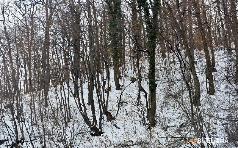 U PETAK U BiH STIŽE SNIJEG Nakon proljećnih temperatura, dolazi prava zima