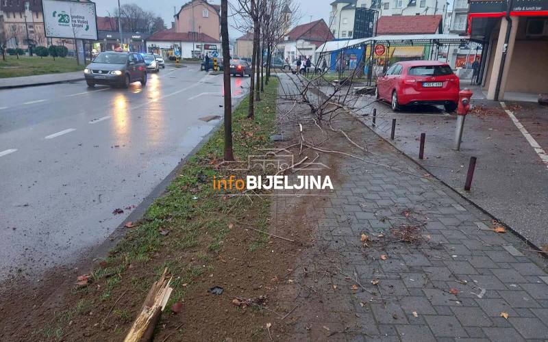 Autom pokosio drvo, “proletio” kroz baštu kafića i završio u kružnom toku (FOTO)