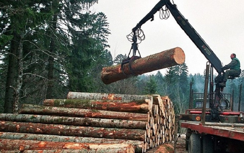 Rast proizvodnje i prodaje šumskih proizvoda u Srpskoj