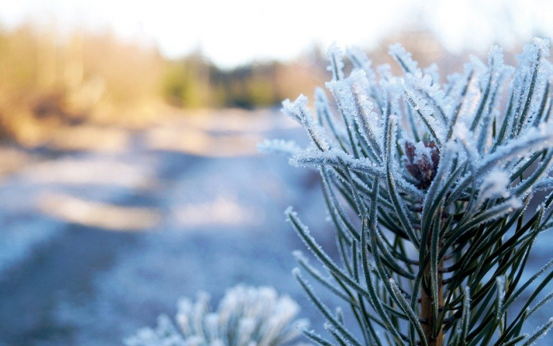 Sutra promjenljivo oblačno sa sunčanim intervalima