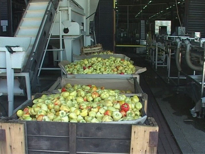 Ugovorena proizvodnja povrća sa 600 domaćih poljoprivrednika