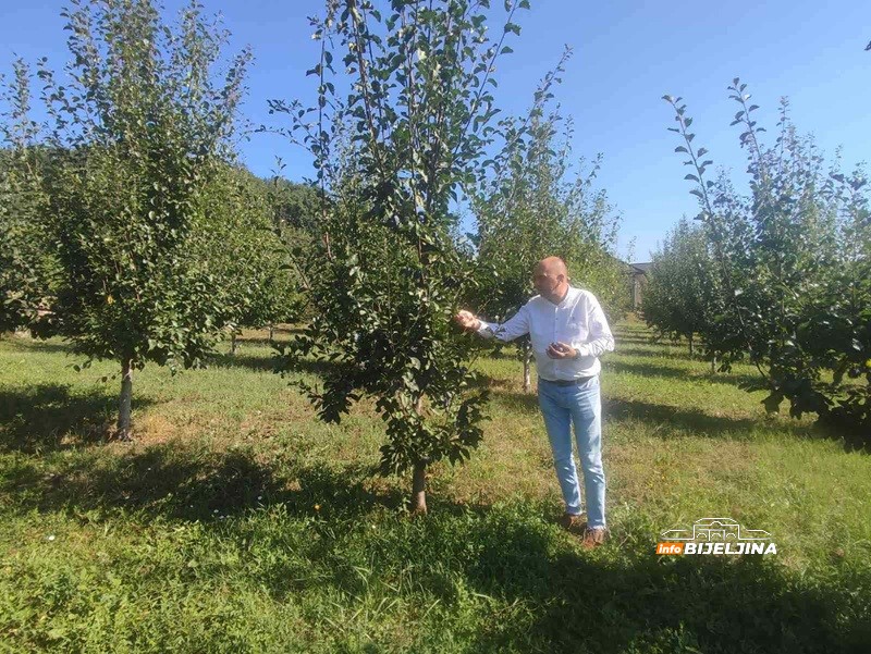Bratske destilerije “Despot” i “Kristal” iz Ugljevika pet godina čuvaju rakiju u hrastovim buradima: U čemu je tajna? (FOTO)