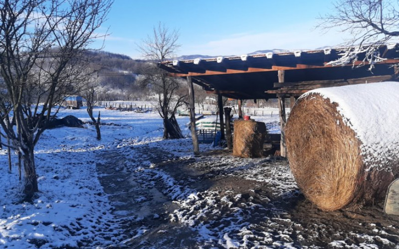 NE ODUSTAJU OD SELA Sve više gazdinstava na Majevici