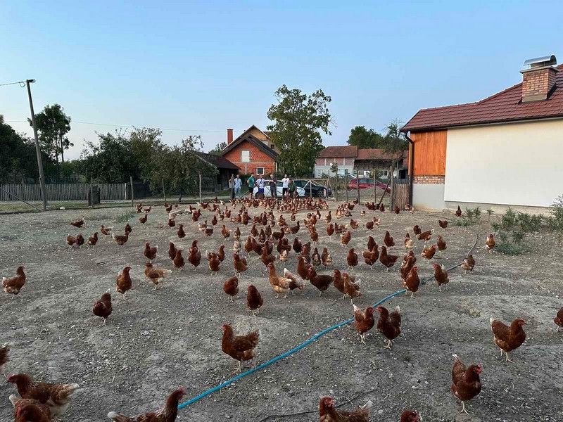 Mile Pejčić pomogao razvoj Farme „5 jaja“ – podrška mladima i preduzetništvu (FOTO)