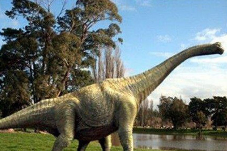 Australotitan - dinosaurus velik kao košarkaški teren