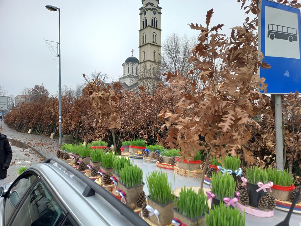 Na bijeljinskim ulicama izloženi badnjaci, cijena već od 1 KM (FOTO)