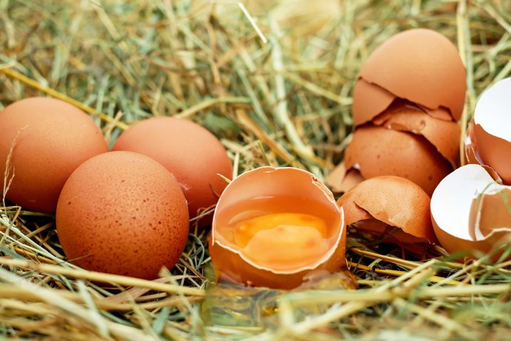 PET razloga zbog kojih bi trebalo što češće da jedete jaja