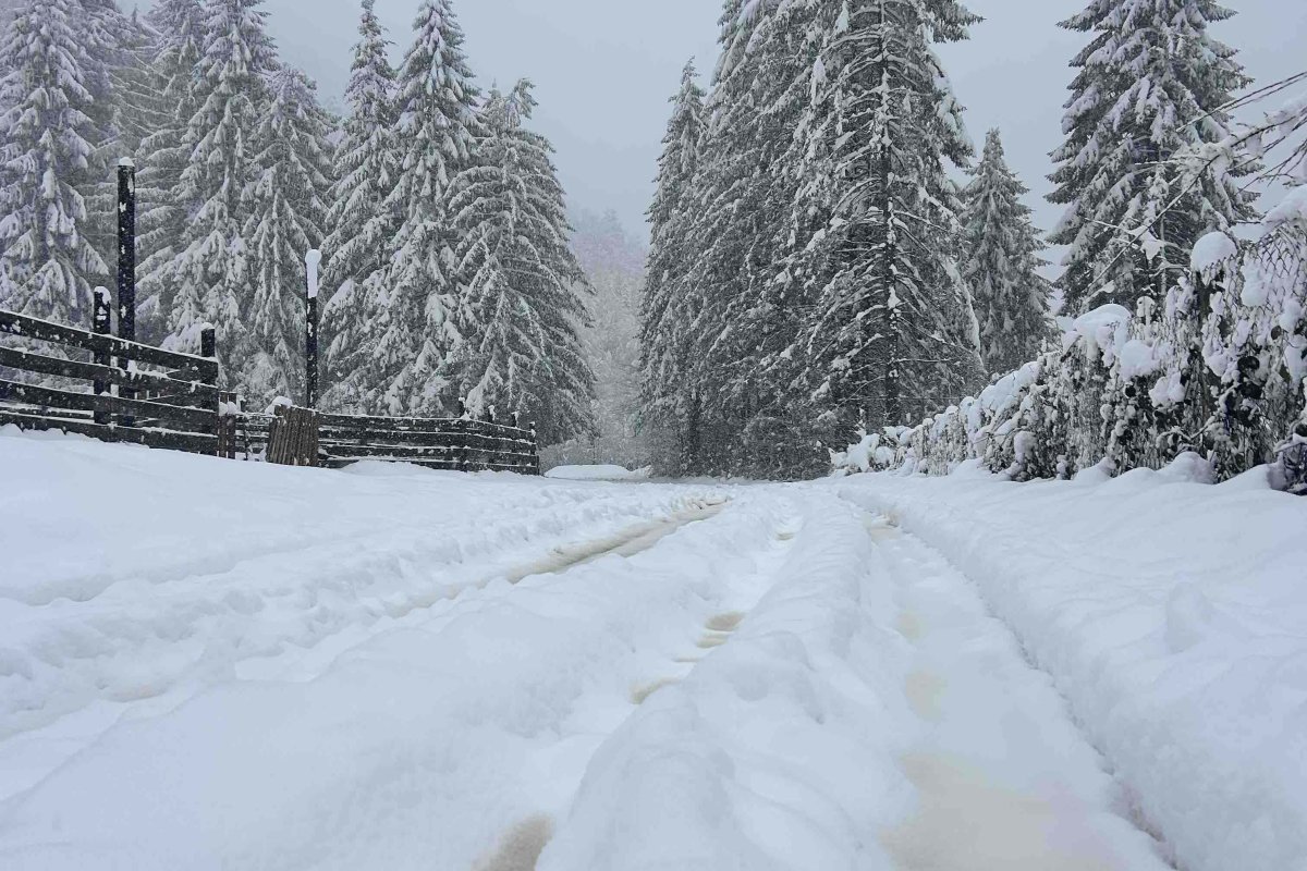 Snijeg ne prestaje da pada u Kotor Varošu, sela zametena 
