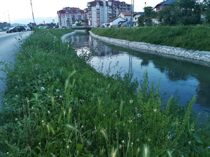 Bijeljina troši milione, građani tvrde: Otpad razbacan a trava do koljena, ima i zmija (FOTO)