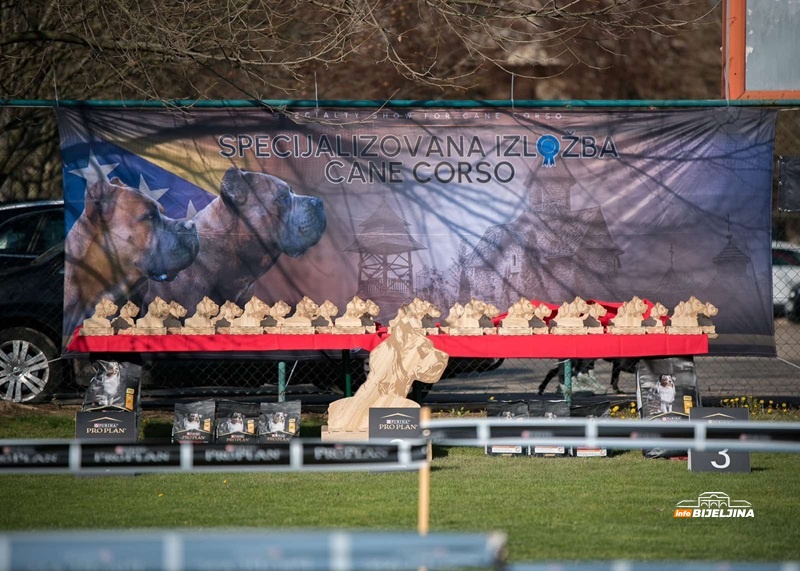 Istorijski uspjeh Kinološkog udruženja 