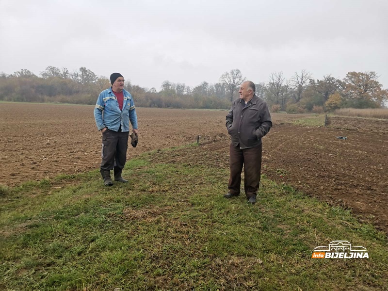 Pšenica u nevolji: Sušna jesen prijeti prinosima u Semberiji /FOTO/