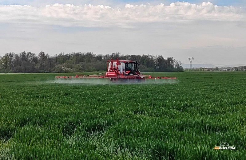 Semberski farmer Blagiša Nikolić dnevno proizvede 1.400 litara mlijeka: Od poljoprivrede se može solidno živjeti (FOTO)