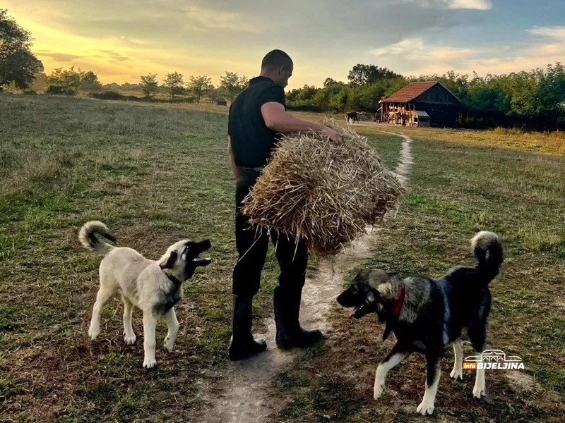 Semberac ima najveću farmu magaraca u ovom dijelu RS: Mlijeko poklanja onima koji nemaju novca, objasnio kako se pije (FOTO)