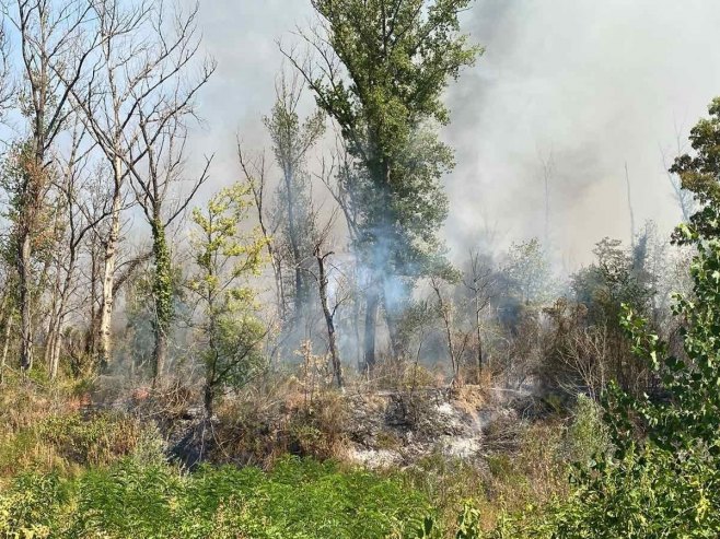 Vatrogasci se grčevito bore da ugase požar na semberskom izletištu 