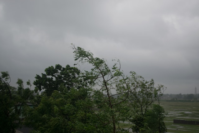 Sutra pretežno oblačno sa povremenom kišom