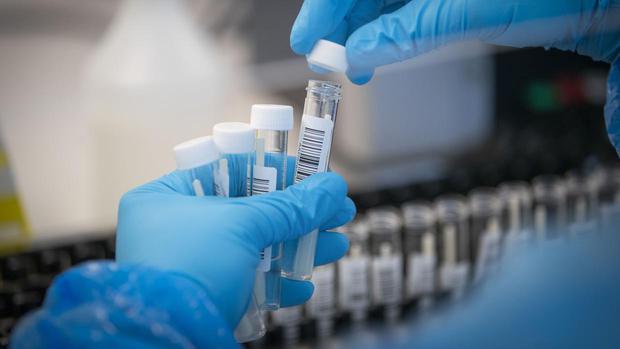 SZO: Moguć novi, mnogo opasniji soj virusa korona, otporan na sve vakcine