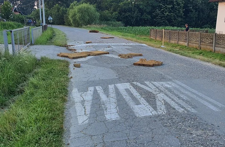 Bijeljina: Jama sa uginulim svinjama otvorena, širi se nesnosan smrad (FOTO)