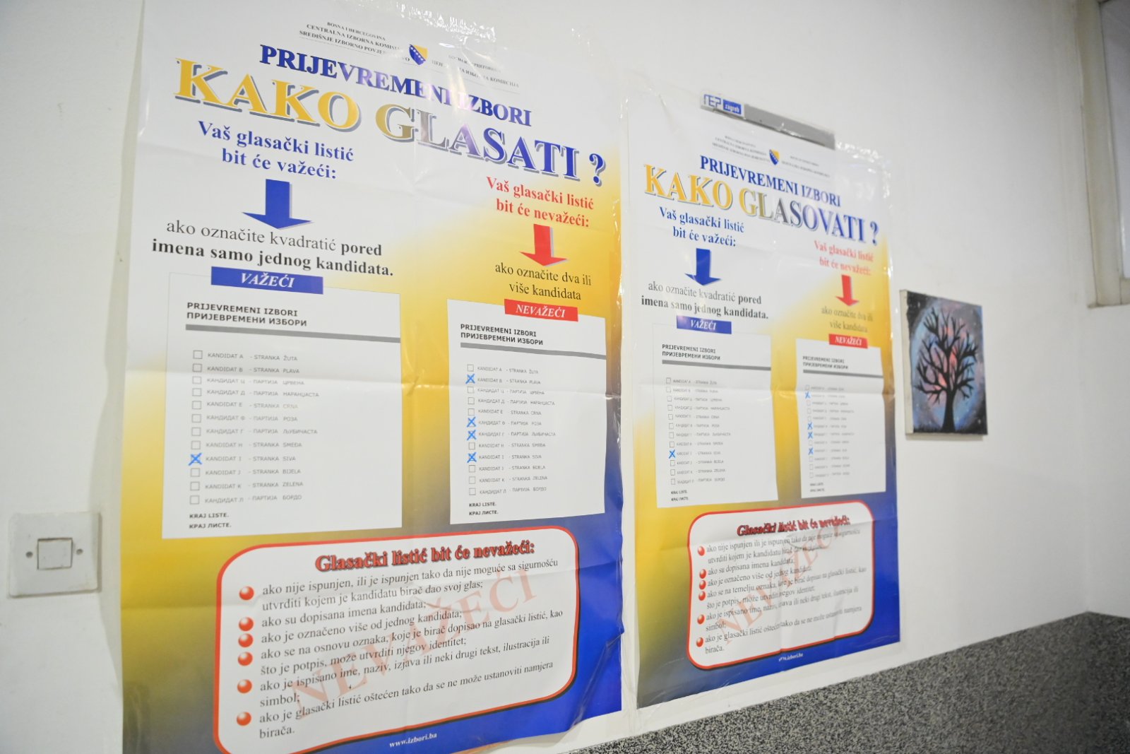 Izbori u Bijeljini u brojkama: Pravo glasa ima 111.679 građana, prijavljeno 614 posmatrača