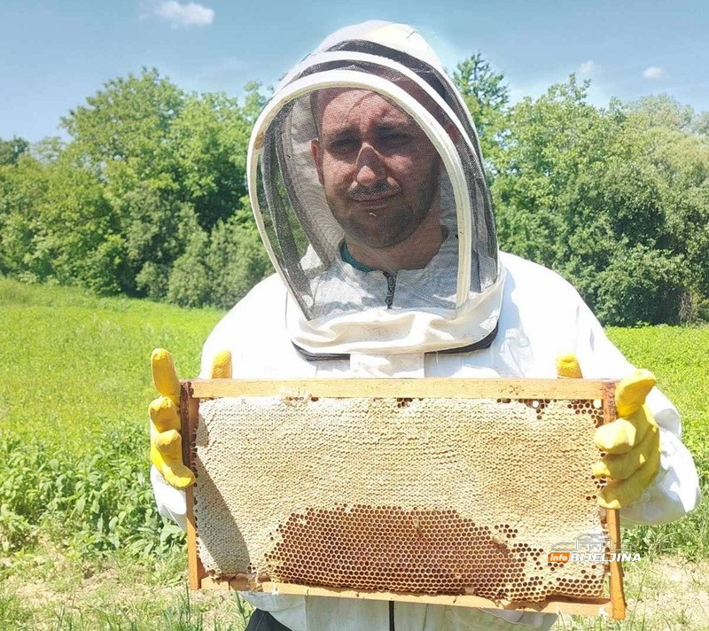Pčelaru iz Donje Trnove stigla sezona kakvu čeka 15 godina: Kvalitet vrhunski, kupci dolaze sami (FOTO)