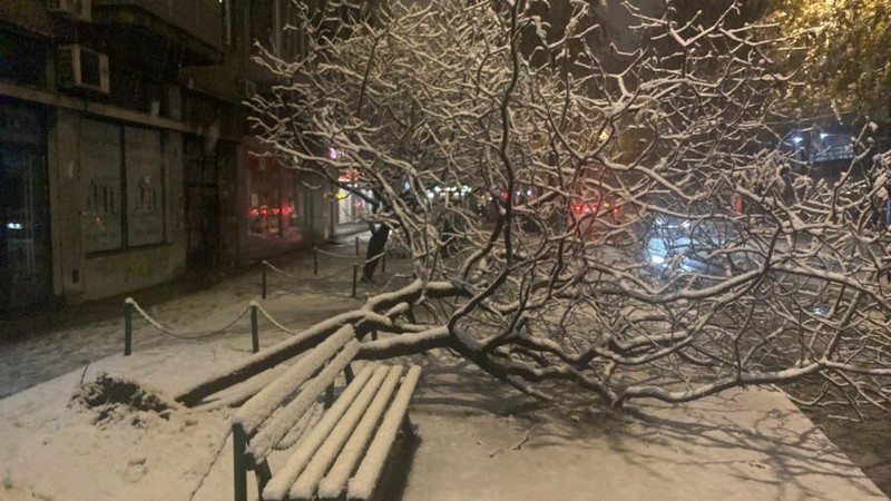 Snijeg “paralisao” BiH: Na putevima zaglavljena vozila, saobraćajne nezgode i oborena drveća (FOTO)