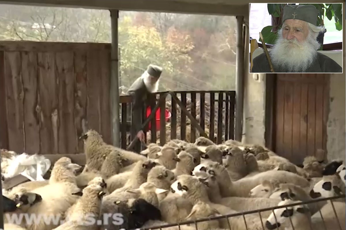 Magistar koji je postao pastir: Nesvakidašnja životna priča čuvara ovaca iz Studenice