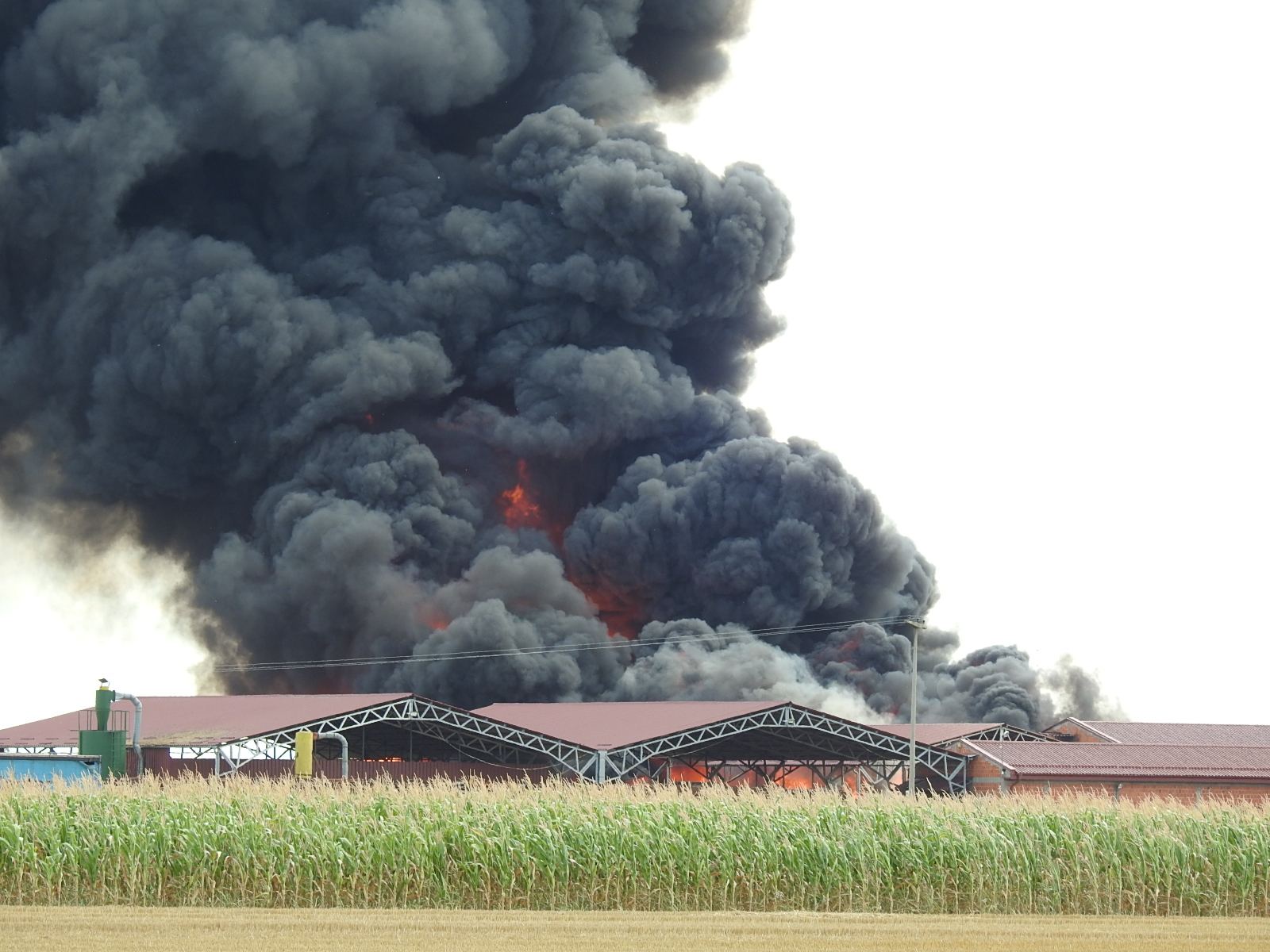 Pogledajte razmjere dramatičnog požara u Brocu (FOTO, VIDEO) 