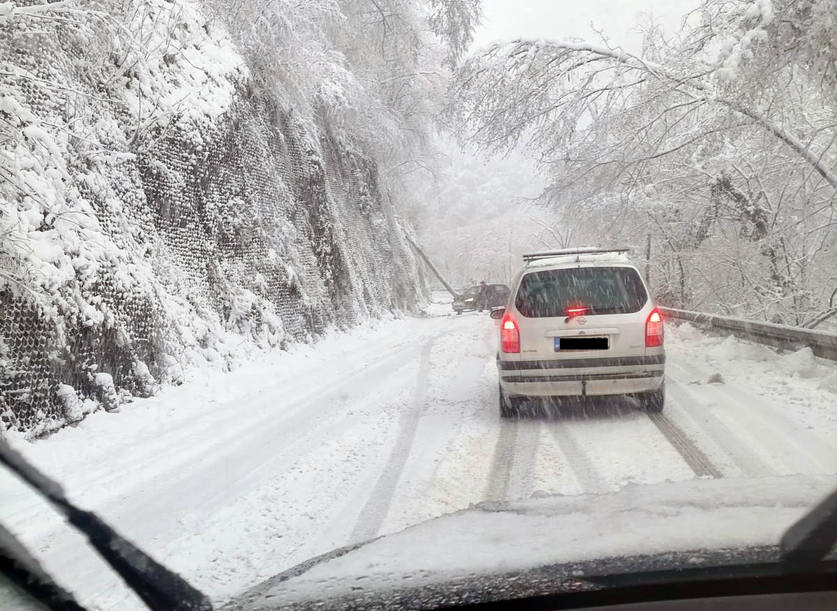 Obustava saobraćaja zbog obrušenog drveća
