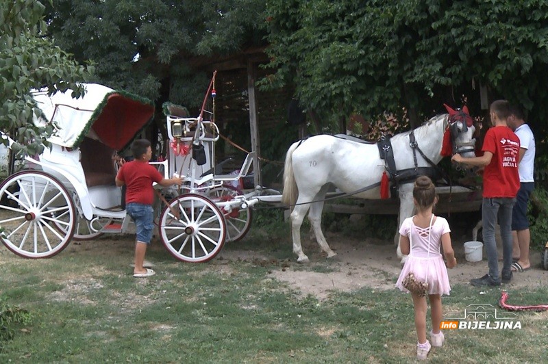 Miljanovići iz Ugljevičke Obriježi primjer složne porodice: Tri generacije na kočijama atrakcija gdje god se pojave (FOTO)