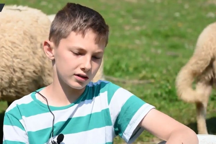 Dječak prvu jagnjad kupio iz kasice, sada ima 100 ovaca