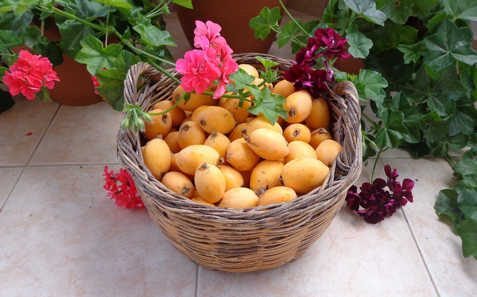 Plod jeseni: Mušmule, zaboravljeno zdravo voće