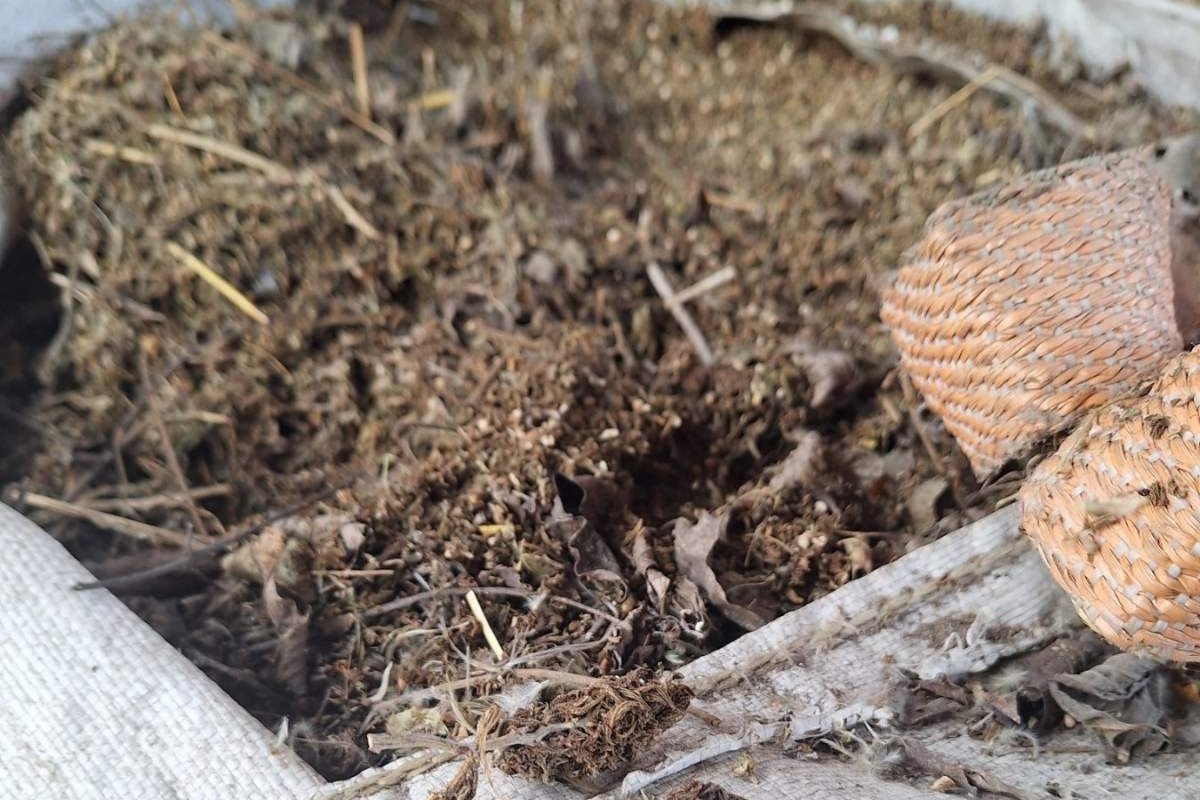 Pretres u Bijeljini, zaplijenjena veća količina droge