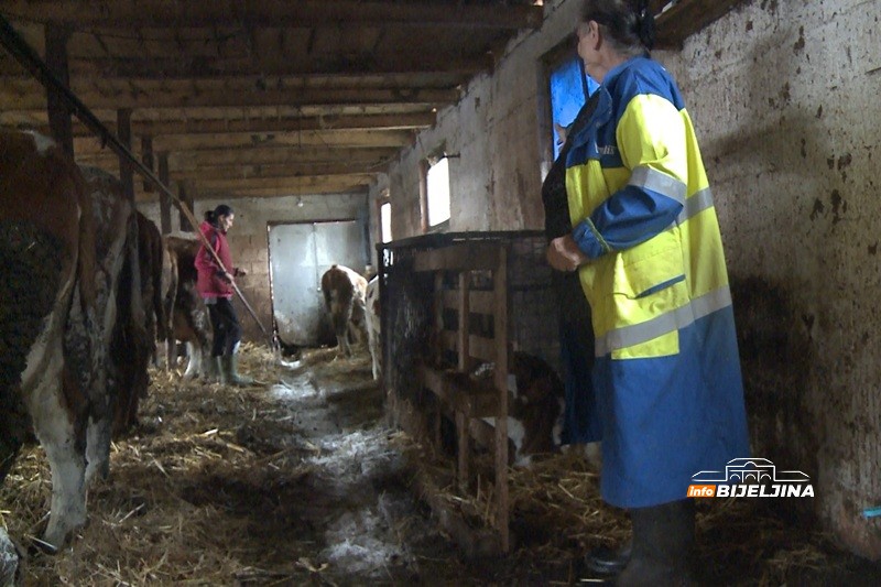 Vasići iz Lopara poslije rata krenuli od nule: Srušene objekte podigli iz pepela, danas žive od poljoprivrede i šire proizvodnju /FOTO/