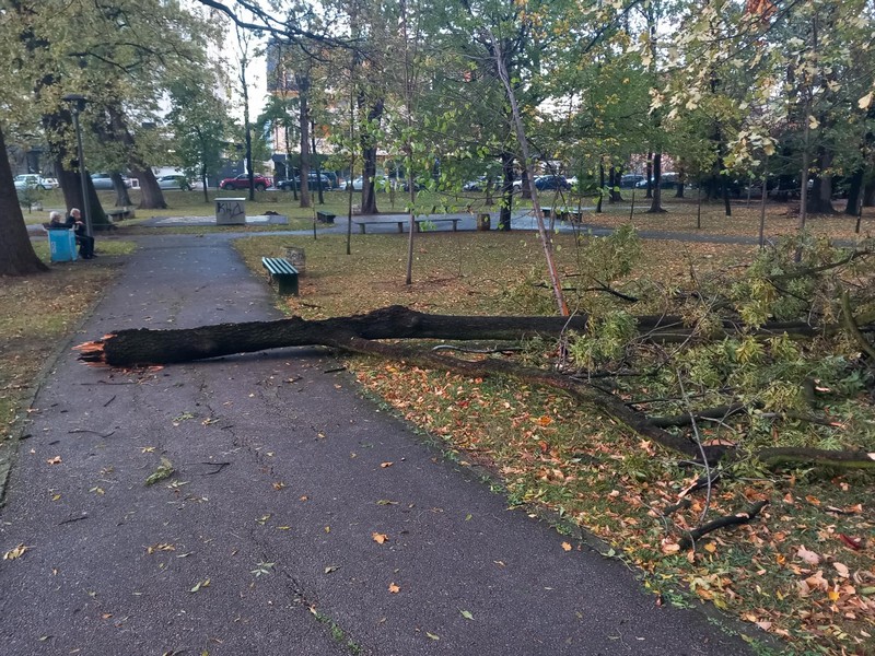 Bijeljina: Vjetar lomio grane u gradskom parku (FOTO)