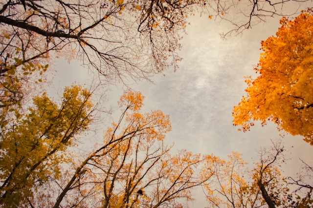 Danas promjenljivo oblačno i svježije