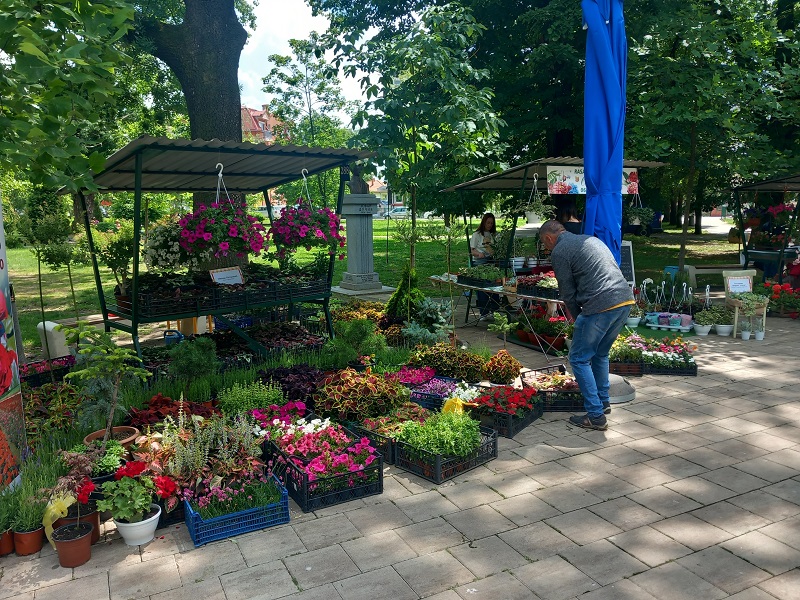 Bijeljina: Počeo 4. Sajam cvijeća, u gradskom parku više od 20 izlagača (FOTO)
