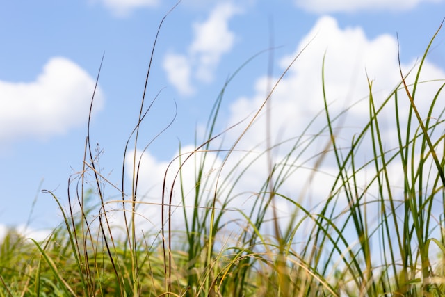 Sunčano i vrlo toplo, uz prolaznu oblačnost